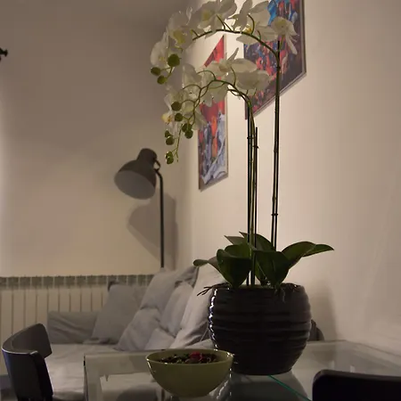 Bed and breakfast Gallidoro