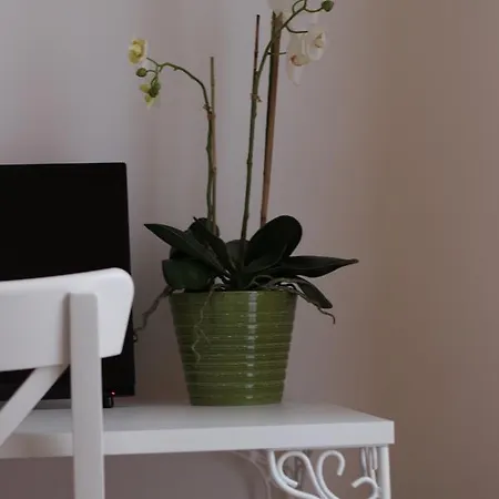 Bed & Breakfast Gallidoro Palermo