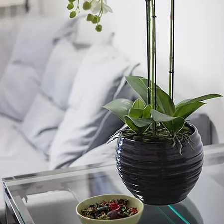 Bed & Breakfast Gallidoro Palermo