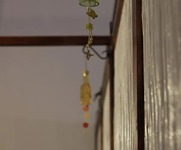 住宿加早餐酒店 格里多诺住宿加早餐旅馆 巴勒莫