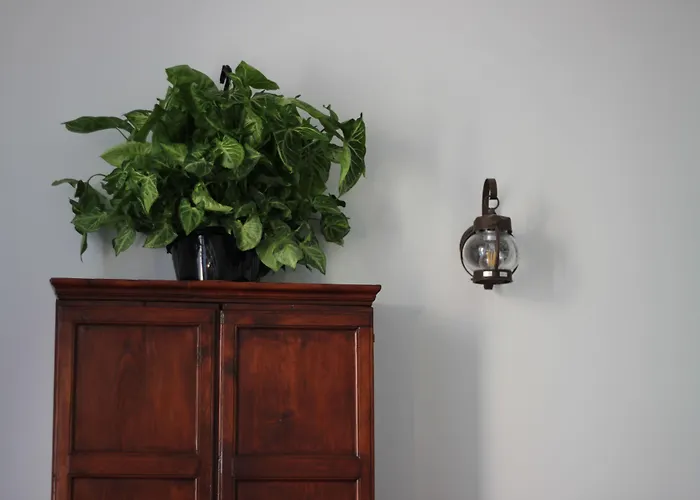 Gallidoro Bed & Breakfast